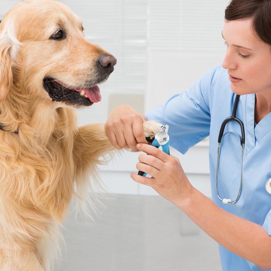 Professionele Nagelknipper Hond en Kat - Nageltang Met Veiligheidsstop en Nagelvijl - Blauw