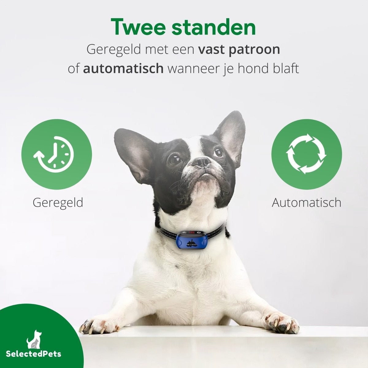 Anti blafband - Blafband voor honden - Blafband grote en kleine hond - Automatische blafdetectie verstelbaar op jouw hond