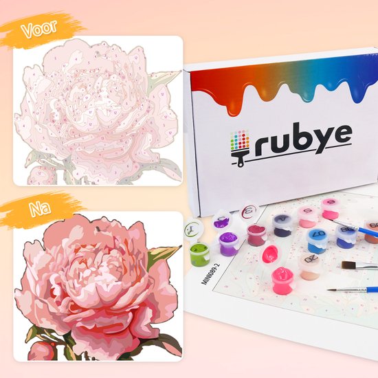 Rubye® Schilderen Op Nummer Volwassenen – Roos & Zonnebloem – Inclusief Verf en Penselen – Canvas Schildersdoek - Kleuren op Nummer - Dubbele Set - 15x20cm