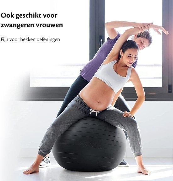 Backerz Yoga Bal - PVC Binnenbal voor zitballen Ella - Anti-burst - Licht Blauw