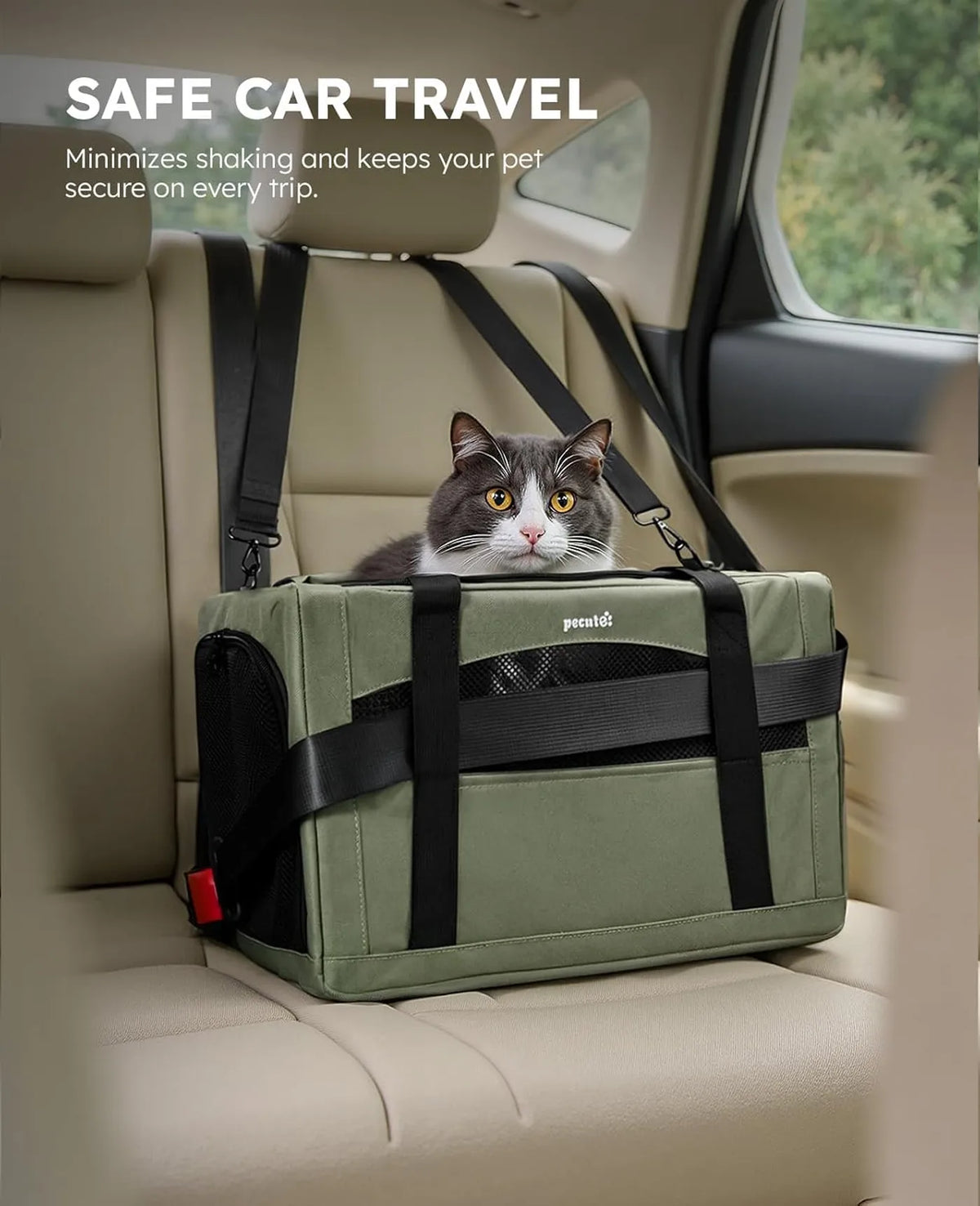 Pecute Huisdierentas Frame-Serie - Armygroen - 43 cm - Tot 5 kg, Kat & Kleine Hond