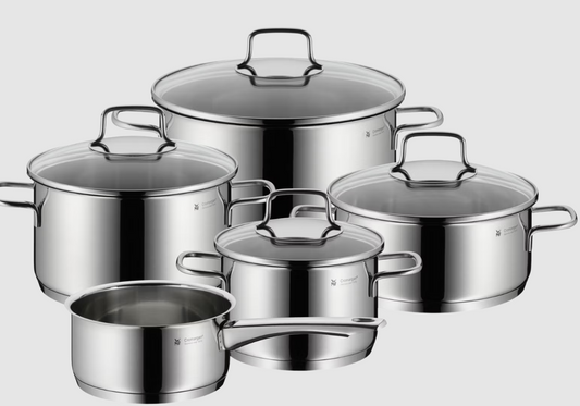 WMF Astoria Pannenset – Set van 5 – RVS 18/10 – Voor Alle Warmtebronnen – Inclusief Deksels