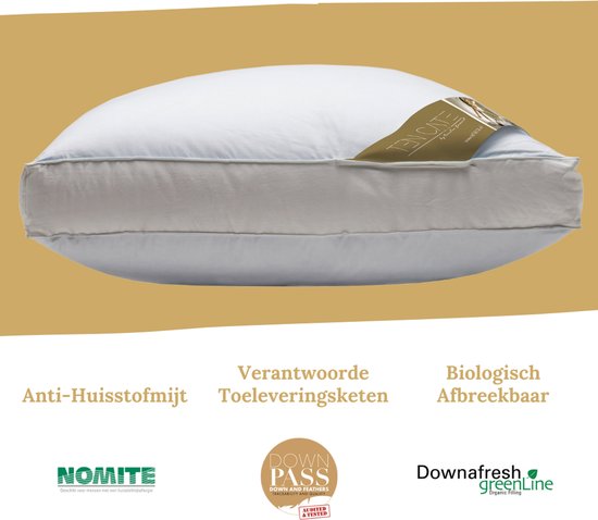 Ten Cate Hoofdkussen - Hoofdkussen Nekklachten - Ganzendons & Ganzenveren - Driekamer - Hoofdkussens - Geschikt voor rug-, zij- en buikslapers - Ergonomisch Boxkussen - 50x60 cm