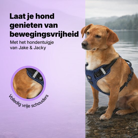 Jake and Jacky Hondentuigje - Anti-Trek Tuig - Hondenharnas - Y Tuig Hond - Reflecterend - Blauw - Maat S