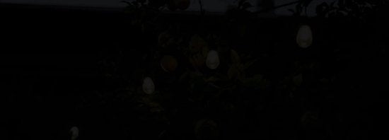 SHINE Lichtsnoer Buiten – Solar Prikkabel – Vintage Basic LED Slinger – 15m – Afstandsbediening