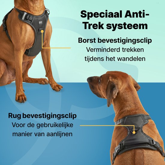 Jake & Jacky Hondentuig – Anti-Trek Y-tuig met Reflecterende Naden – Maat L – Zwart
