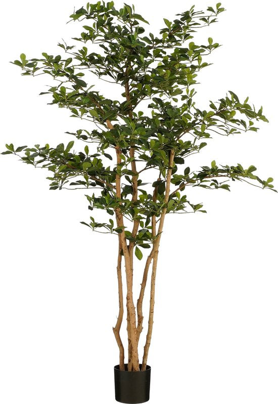 Mica Decorations Kunstplant Olijfboom in Pot - H183 x Ø130 cm - Groen