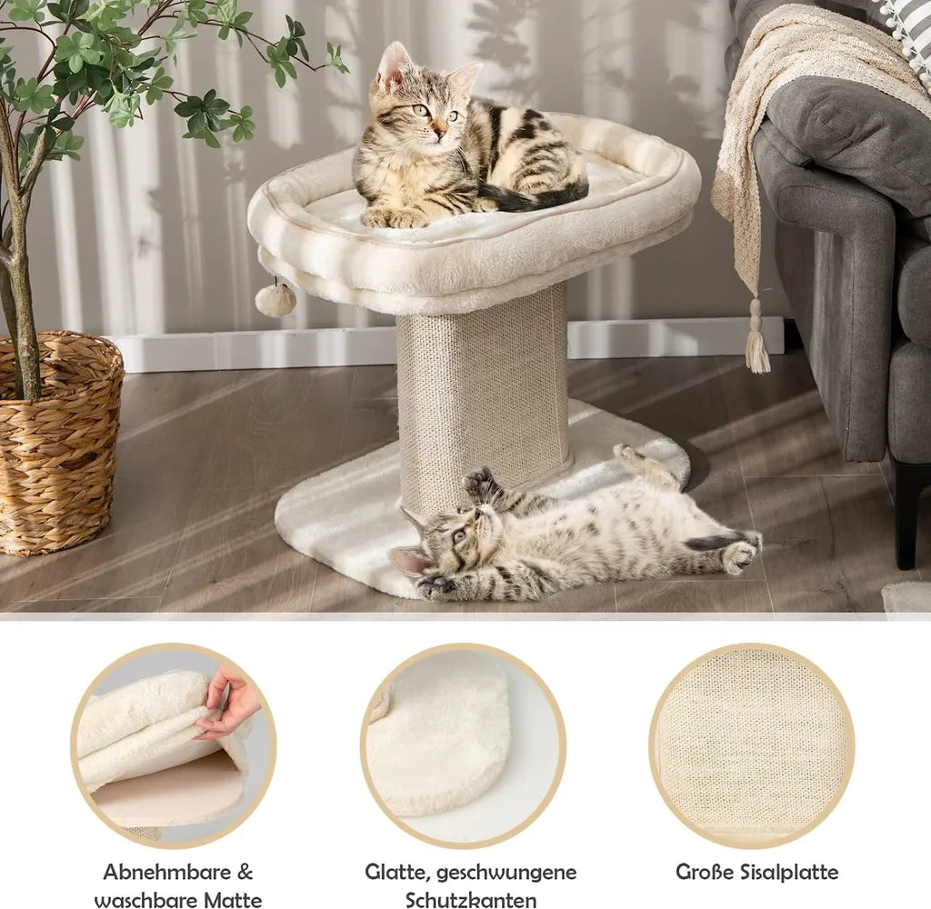 Coast Kattenboom - Interactieve Bal - Pluche - 59x39,5x50cm - Beige