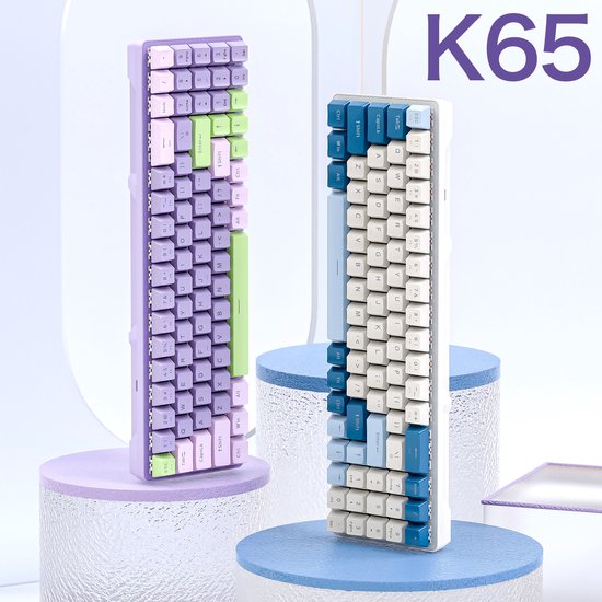 FREEWOLF K65 Mechanisch Gaming Toetsenbord - Side RGB-verlichting - 78 toetsen - Mini NumPad - Rode Schakelaar - Blueberry