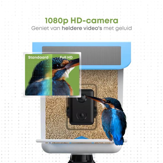 Viervoeter - Vogelvoederhuisje - Vogelhuisje met Camera - AI vogelherkenning - 1080 HD - Audio