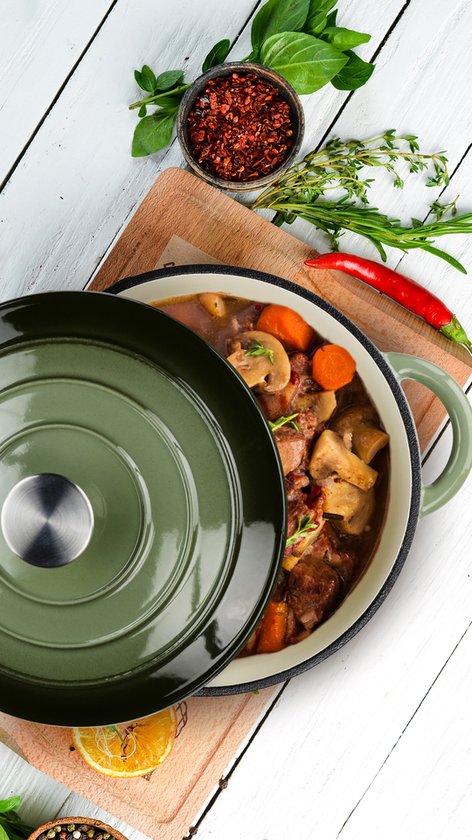 alpina Braadpan Gietijzer met Deksel - Bakpan ⌀ 24 cm - Alle Warmtebronnen - Groen
