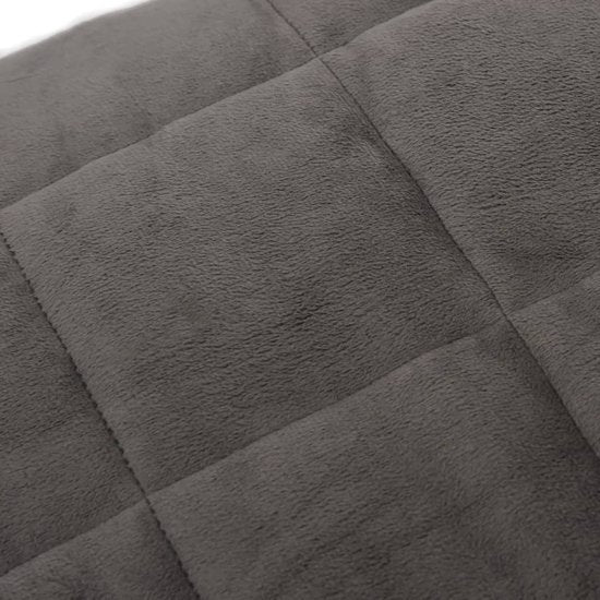 vidaXL - Verzwaringsdeken - 200x200 - cm - 13 - kg - stof - grijs