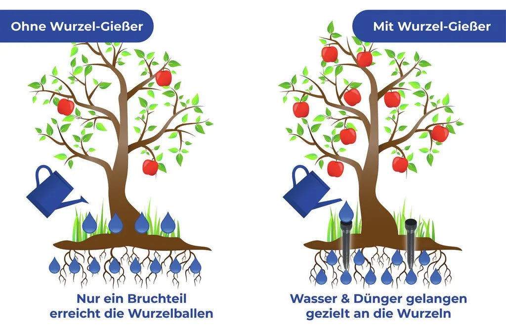 Maximex Wortelwatergever Set 6 Stuks – Ø 5,5 x 30 cm – Gerichte Bewatering