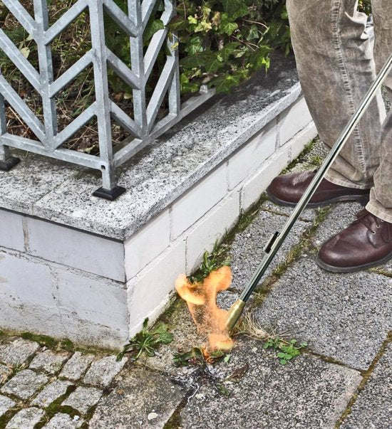 Rothenberger Universele Gasbrander - Onkruidbrander - Dakbrander - met piëzo - incl. gasfles