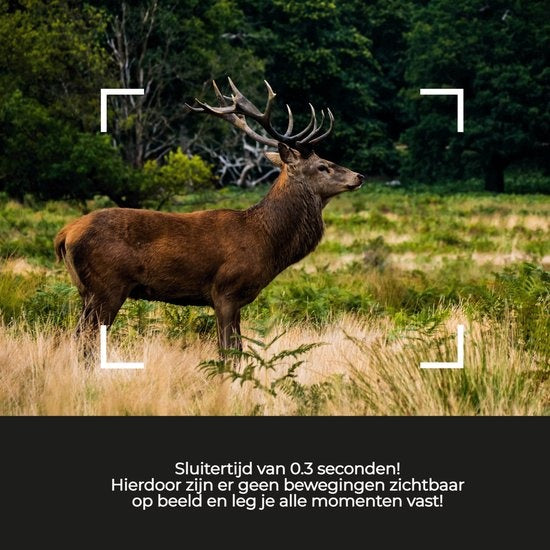 Denver Wildcamera met Nachtzicht - Live beelden (APP) - FULL HD - Waterdicht - WCT8020W