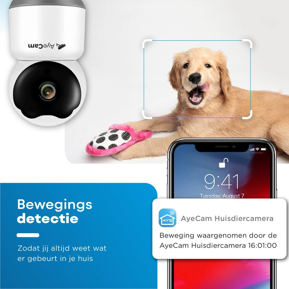 AyeCam Huisdiercamera - Met App - Incl. 32GB SD - WiFi - Beweeg & Geluidsdetectie - Beveiligingscamera