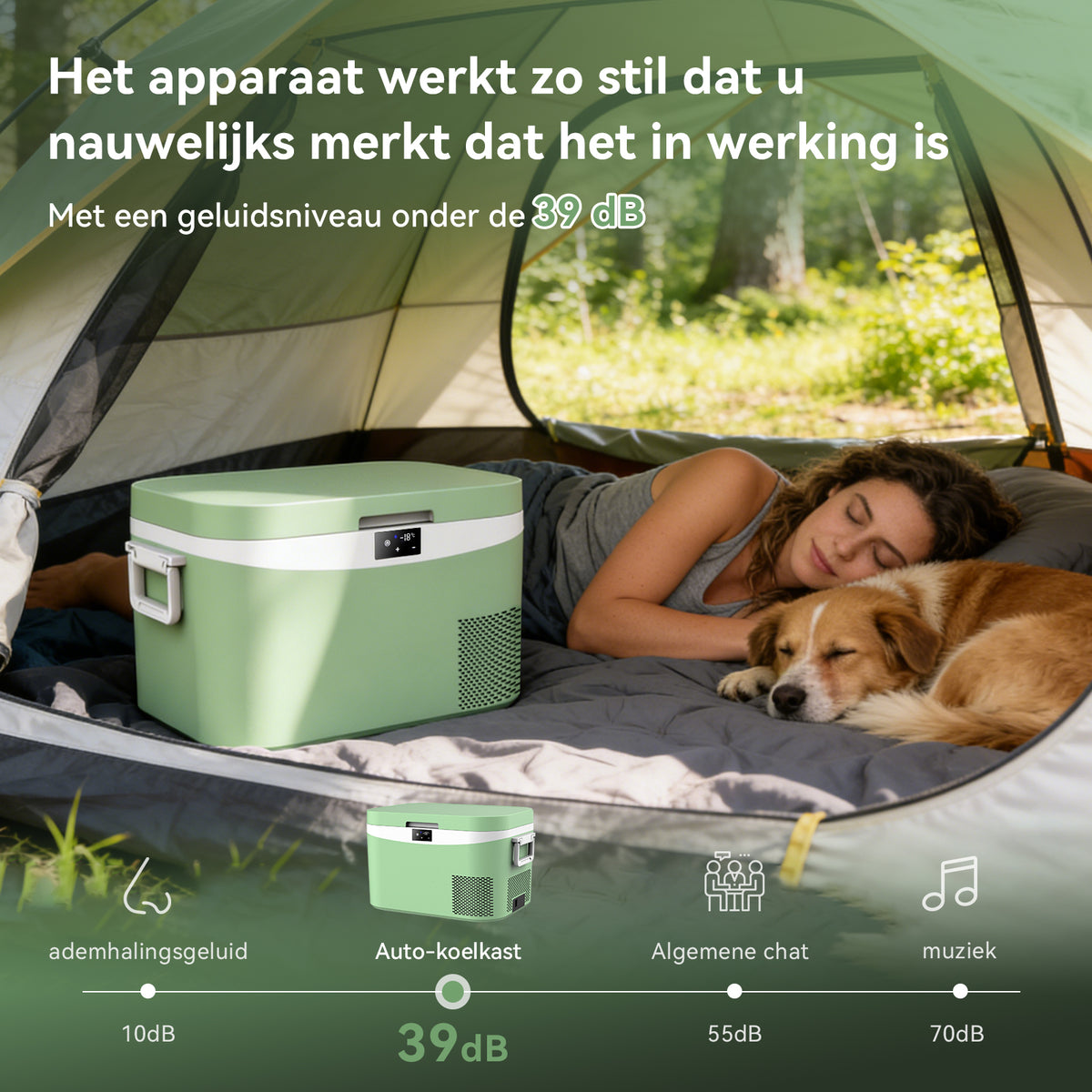 BINGI Compressor Koelbox 12.8L Mini Draagbare Elektrische Koelkast 12/24V DC Elektrische Vriezer Draagbare Vriezer voor Auto, Vrachtwagen, Picknick, Kamperen en Huisgebruik