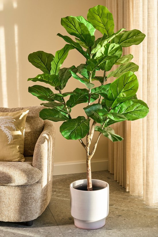 Mica Decorations Ficus Lyrata Kunstplant - Kunststof Kamerplant in Zwarte Pot - Water- en UV Bestendig voor Binnen en Buiten - Onderhoudsvrij Botanisch Decor - H150 x Ø50 cm - Groen