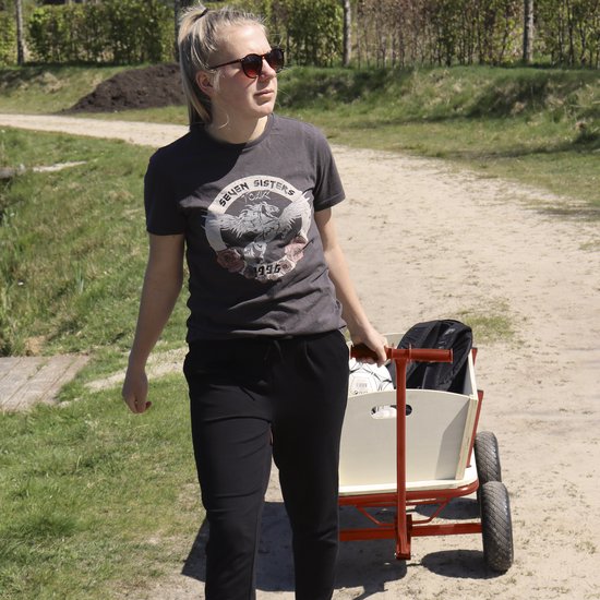 Sunny Billy Beach Wagon Bolderkar Rood - Blank hout - Bolderwagen met luchtbanden - 94x61x97cm