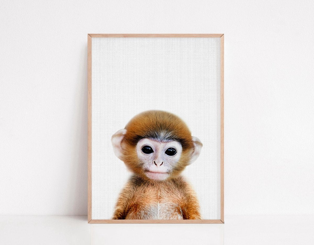 Generic | Safari Posters met Dieren voor Kinderkamer - 6 Posters - 21 x 30cm