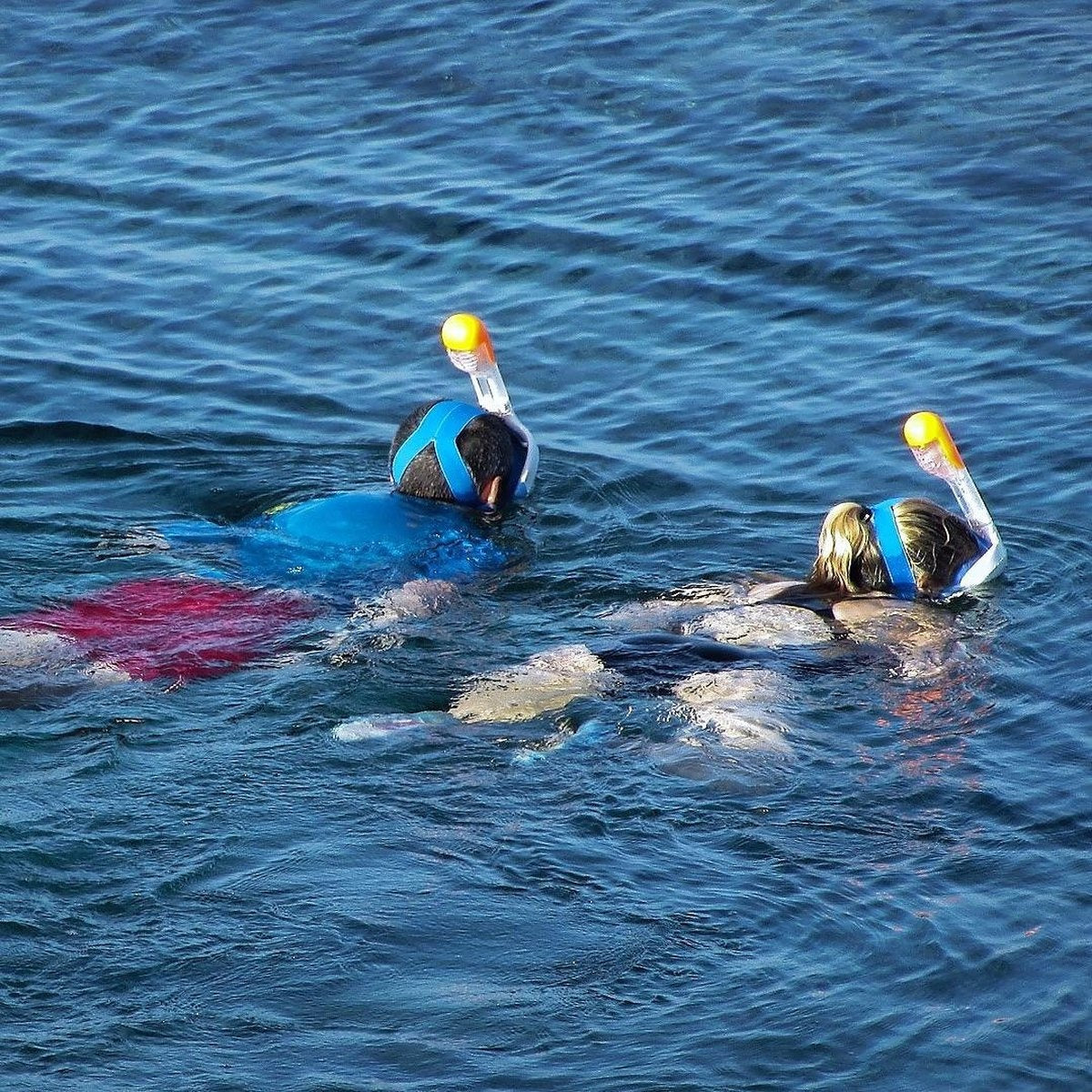 Gadgy Duikmasker Full Face Kinderen - Duikbril met Snorkel - Snorkelset Kinderen - Snorkelmasker Kind - Roze - Snorkelen en Duiken in 2024