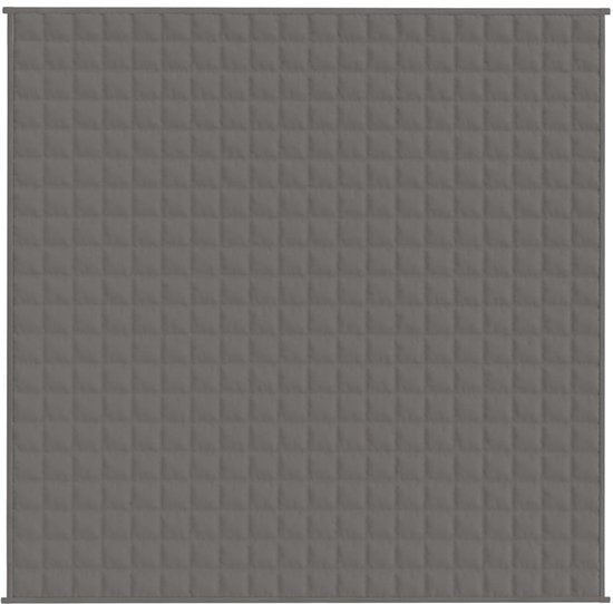 vidaXL - Verzwaringsdeken - 200x200 - cm - 13 - kg - stof - grijs