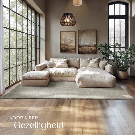 tectake® Kortpolig Vloerkleed - 160 x 230 cm - Zandkleur - Tapijt voor Woonkamer, Slaapkamer, Eetkamer - Onderhoudsvriendelijk en Wasbaar - Antislip Ondertapijt - Allergievriendelijk - Diverse maten en kleuren