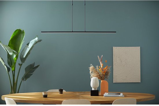 Hanglamp Steinhauer Zelena 1482ZW, Zwart, Uitschuifbaar, Hoogte verstelbaar, Lengte 122cm, Breedte 3cm, Materiaal: Elektronica, Kunststof, Metaal