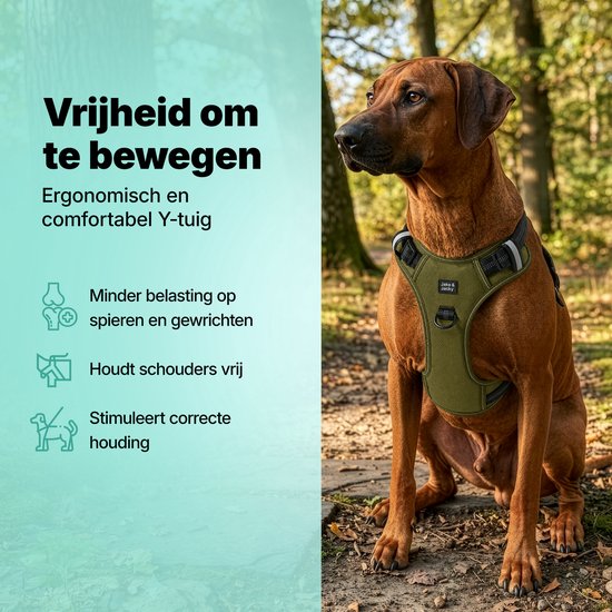 Jake en Jacky Hondentuigje - Anti-Trek Tuig - Hondenharnas - Y Tuig Hond - Reflecterend - Groen- Maat S