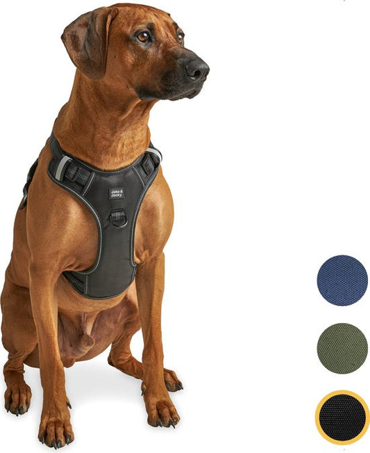 Jake & Jacky Hondentuig – Anti-Trek Y-tuig met Reflecterende Naden – Maat L – Zwart