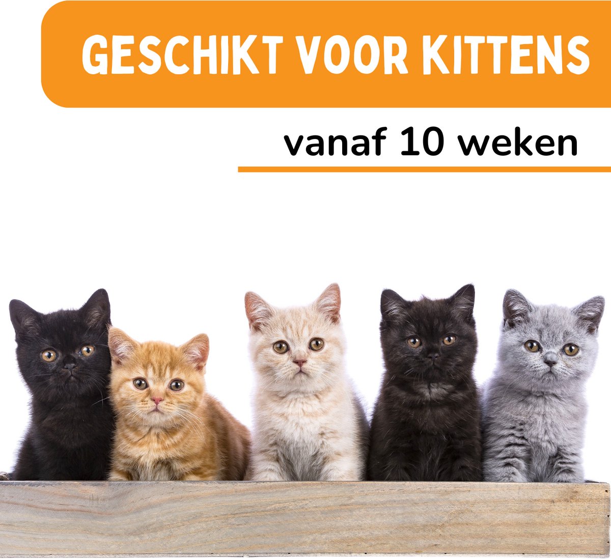 Vlooienband Kat Effectief Tegen Vlooien En Teken - Vlooienmiddel - Beter Dan Vlooiendruppels - Grijs - Incl. Vlooienkam - Organic