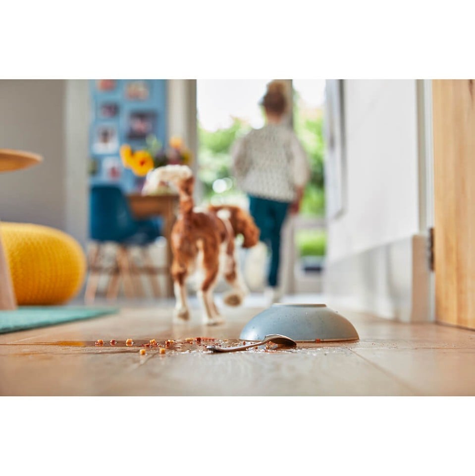Bissell MultiClean CrossWave C3 Select - 7,5 m snoer - nat & droog reinigen