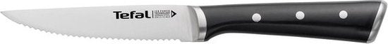 Tefal Ice Force - Steakmes - 11 cm - 4-delige Set - RVS - IJsgehard - Ergonomisch