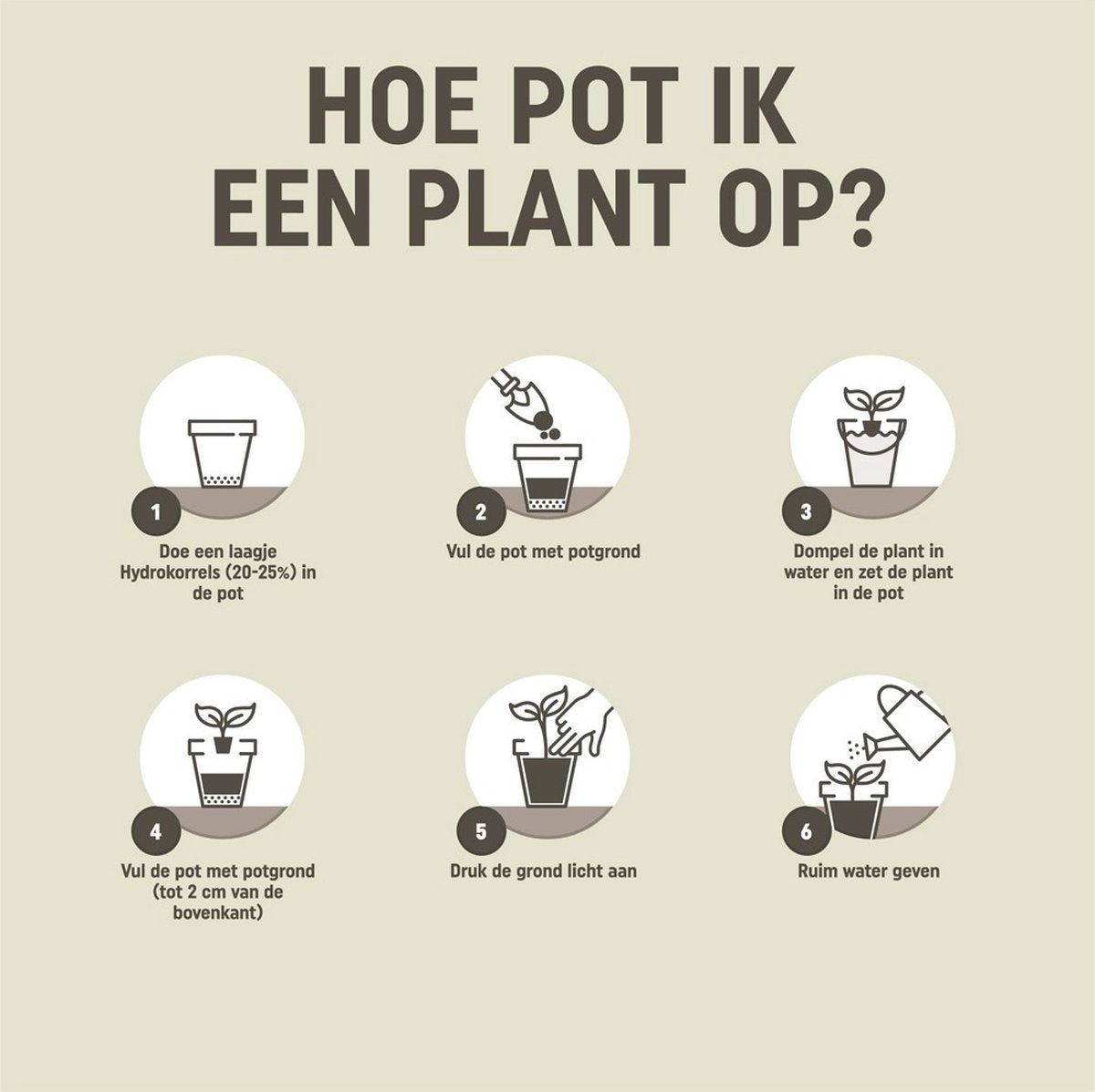 Pokon Kamerplanten Potgrond - 10l - Potgrond (kamerplant) - 6 maanden voeding