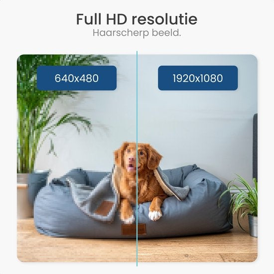 Gologi huisdiercamera - Hondencamera - Pet camera - Beveiligingscamera - Security camera - Voor alle huisdieren - Met wifi