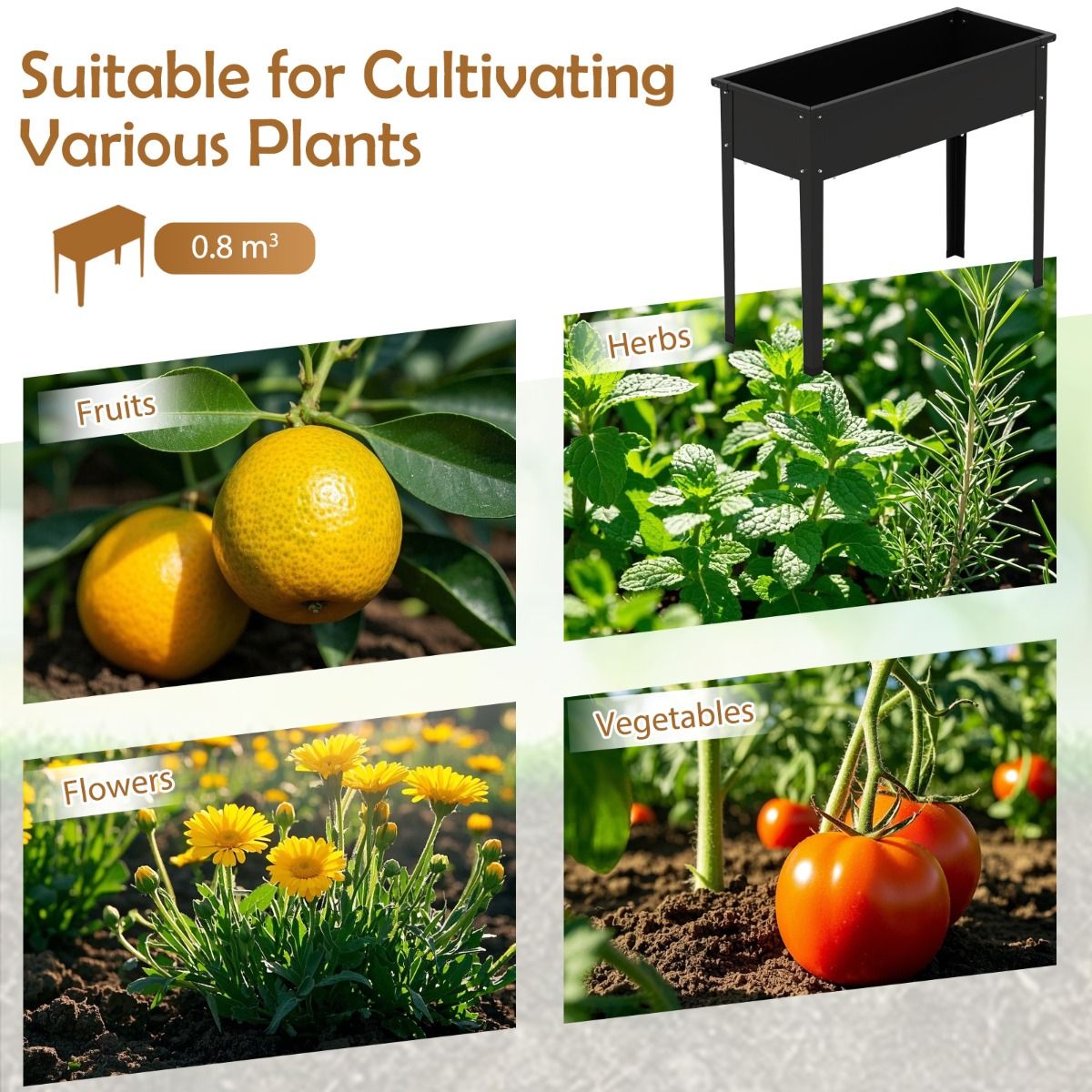 Coast Verhoogde Plantenbak - metalen tuinbak met poten - afwateringsgaten - zwart - 100 x 40 x 80 cm
