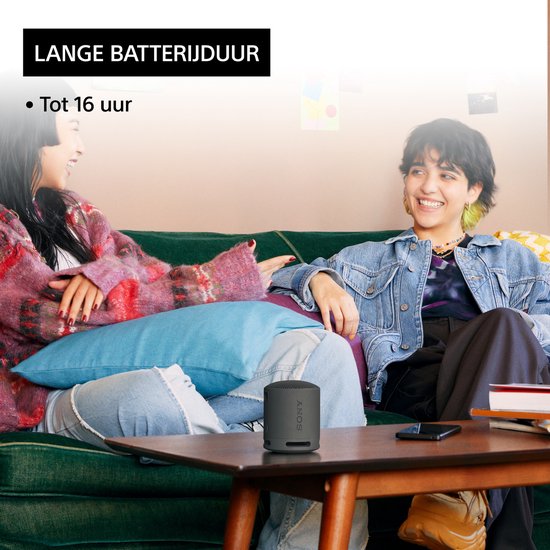 Sony SRS-XB100 - Draagbare Bluetooth Speaker - Zwart