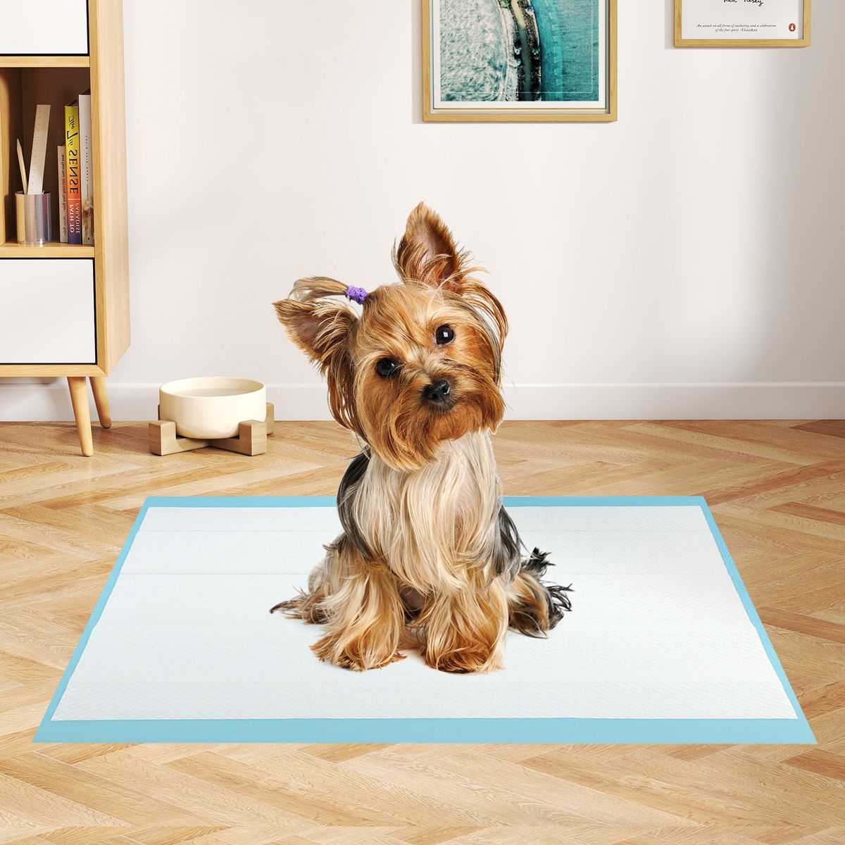 Coast Huisdierplasmatten - 6-laags - Lekvrij en superabsorberend - 60 x 43 cm - 300 stuks - Blauw/Wit