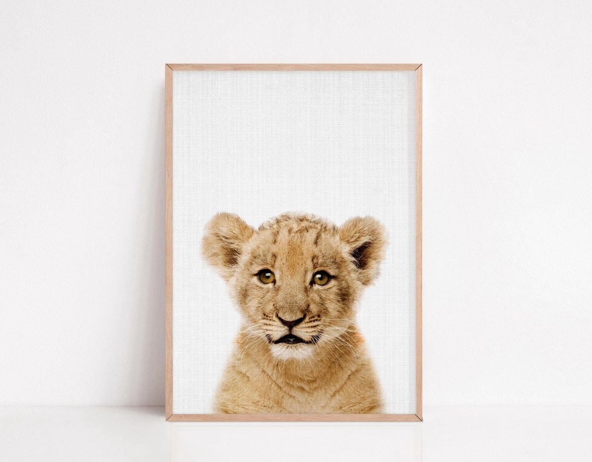 Generic | Safari Posters met Dieren voor Kinderkamer - 6 Posters - 21 x 30cm