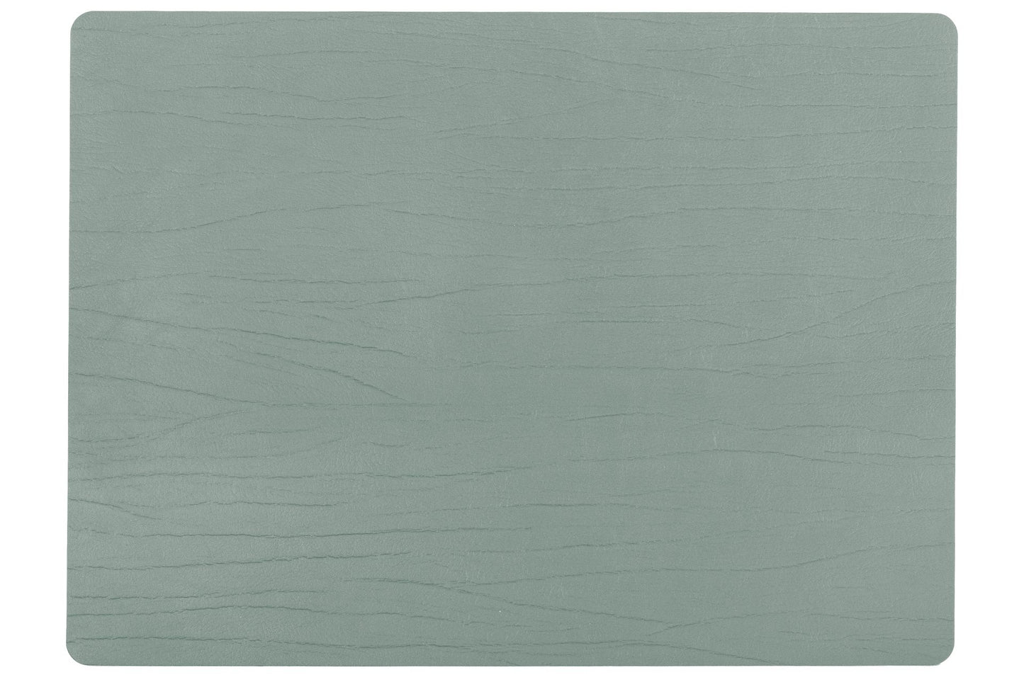 Placemat TITAN rechthoekig - 33x45cm - groen dubbelzijdig