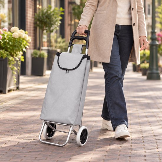 BE strong Boodschappentrolley 25 L - 2 wielen - Grijs