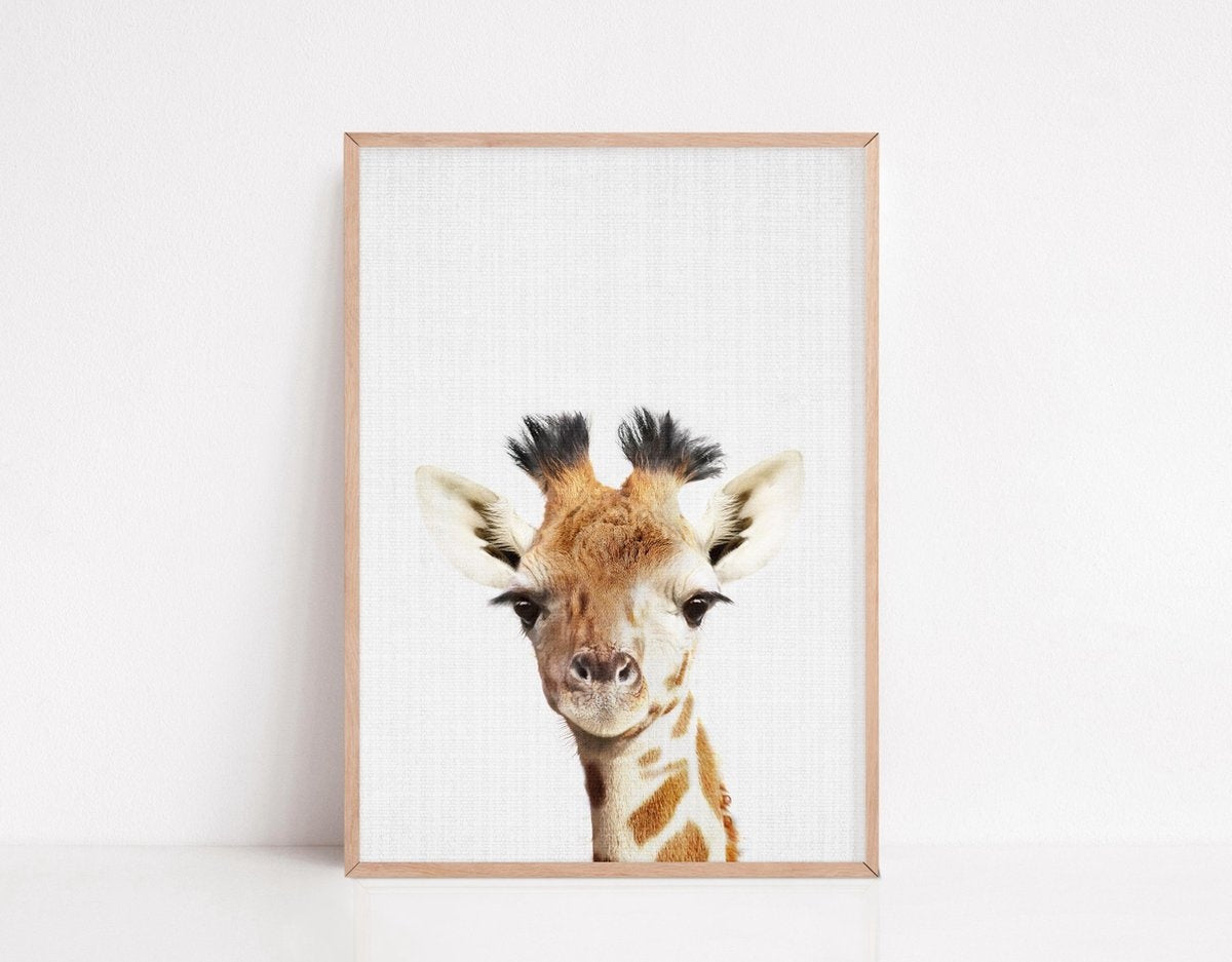 Generic | Safari Posters met Dieren voor Kinderkamer - 6 Posters - 21 x 30cm