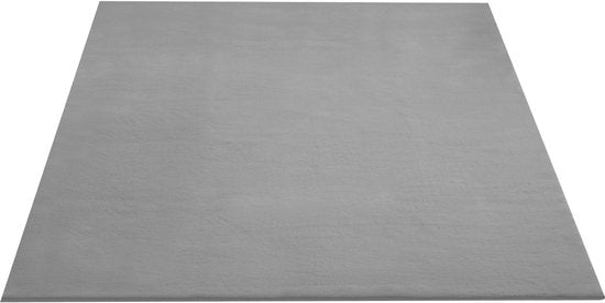 tectake® Kortpolig Vloerkleed - 120 x 170 cm - Grijs - Tapijt voor Woonkamer, Slaapkamer, Eetkamer - Onderhoudsvriendelijk en Wasbaar - Antislip Ondertapijt - Allergievriendelijk - Diverse maten en kleuren