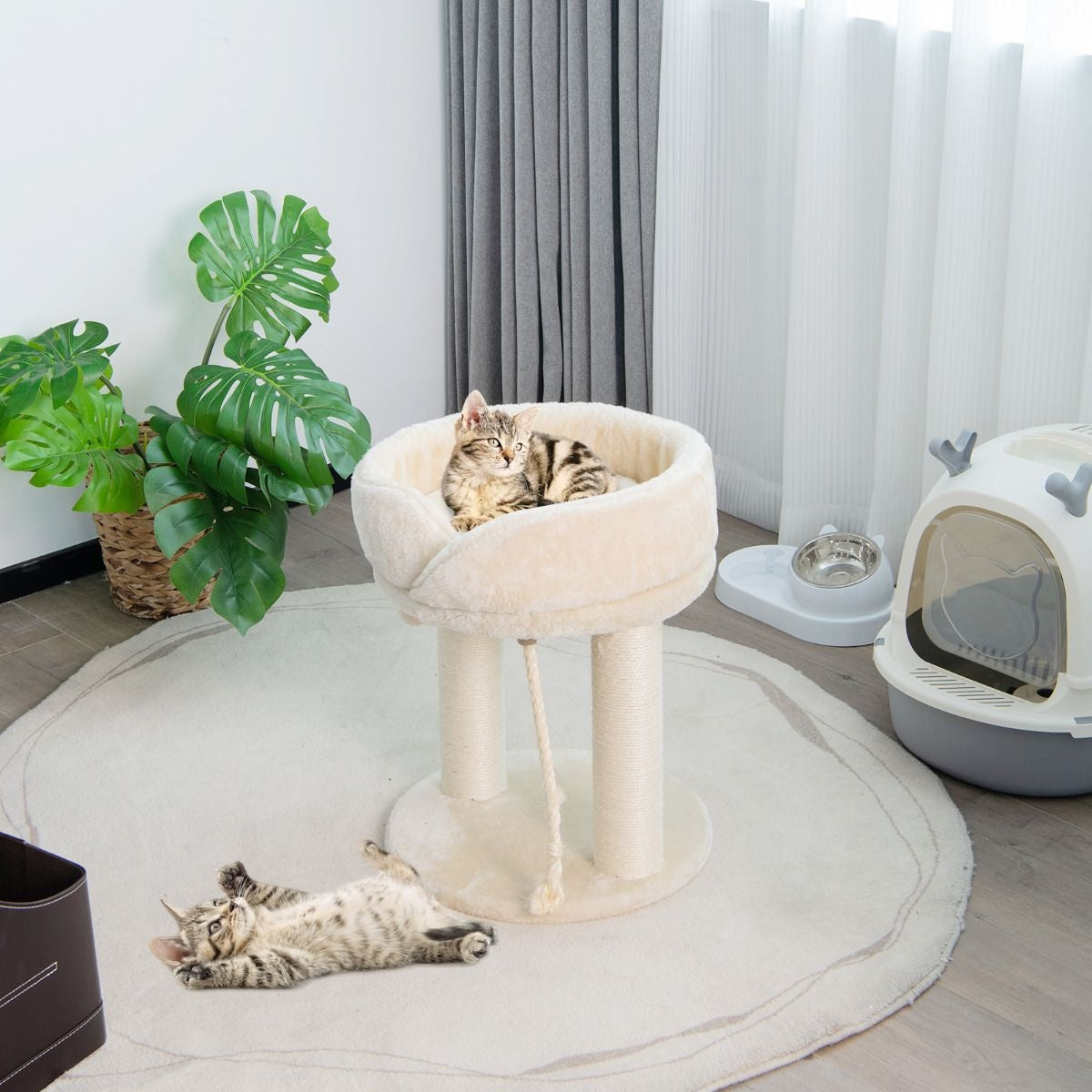 Coast Cat Tree Cat krabpaal met zachte stoel sistale toren voor katten beige