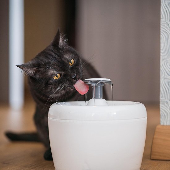 TrevoPet® Drinkfontein Kat - Waterfontein Kat - Kattenfontein - Fluisterstil - Drinkfontein - Drinkbak Kat - 2.5 Liter - Inclusief Filter - Wit