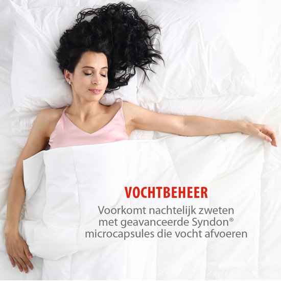 alpina Dekbed 240x200/220 cm - 4 Seizoenen Dekbed 2 Persoons - Machine Wasbaar bij 40 Graden - Sneldrogend en Ademend Materiaal - Zomer- en Winterdekbed - Polyester - Wit