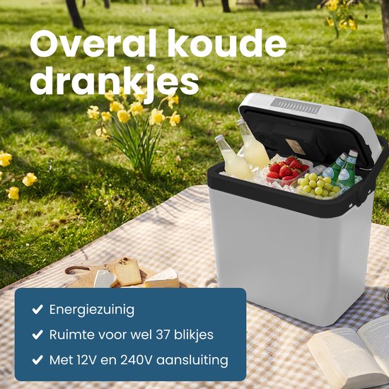 Auronic Koelbox Elektrisch 12V en 230 volt - 25L - Camping Koelkast - Auto - Koelen en Verwarmen - Frigobox - Lichtgrijs