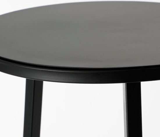 Mica Decorations Plantentafel - H120 x Ø35 cm - Metaal - Zwart