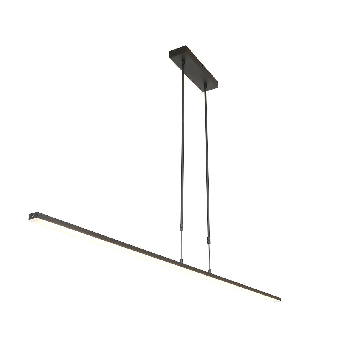 Verstelbare hanglamp Zelena – 2-lichts – Kunststof / Metaal – 155 cm – In hoogte verstelbaar tot 117 cm – Modern design – Zwart