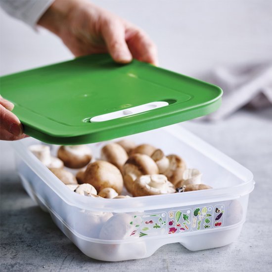 Tupperware Fridge Smart 1,8l - Vershoudbakjes - BPA-vrij - Voorraadpot - Lunchbox - Plastic Bakjes - Voedselcontainer - Voedsel blijft 2 keer langer vers
